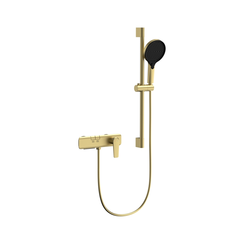DUAL-FUNCTION SHOWER SET WFT03013
