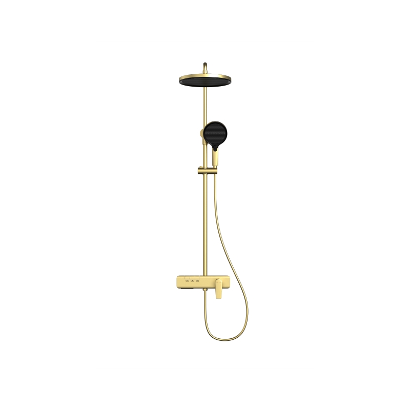 Multifunction Shower Set WFT13017