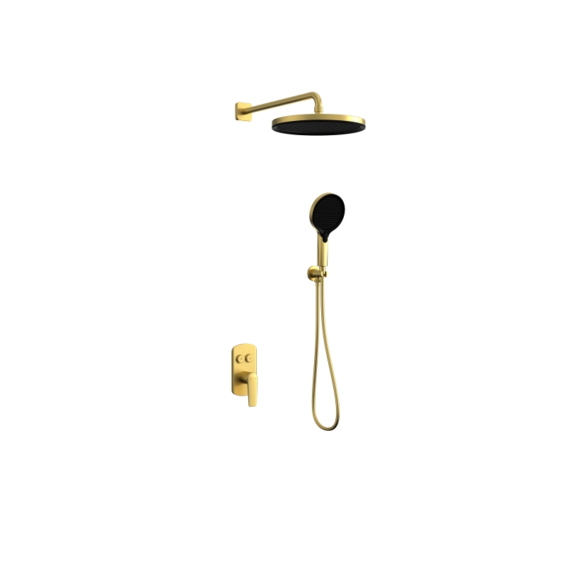 TWO FUNCTION WALL-MOUNTED SHOWER SET WFT63008