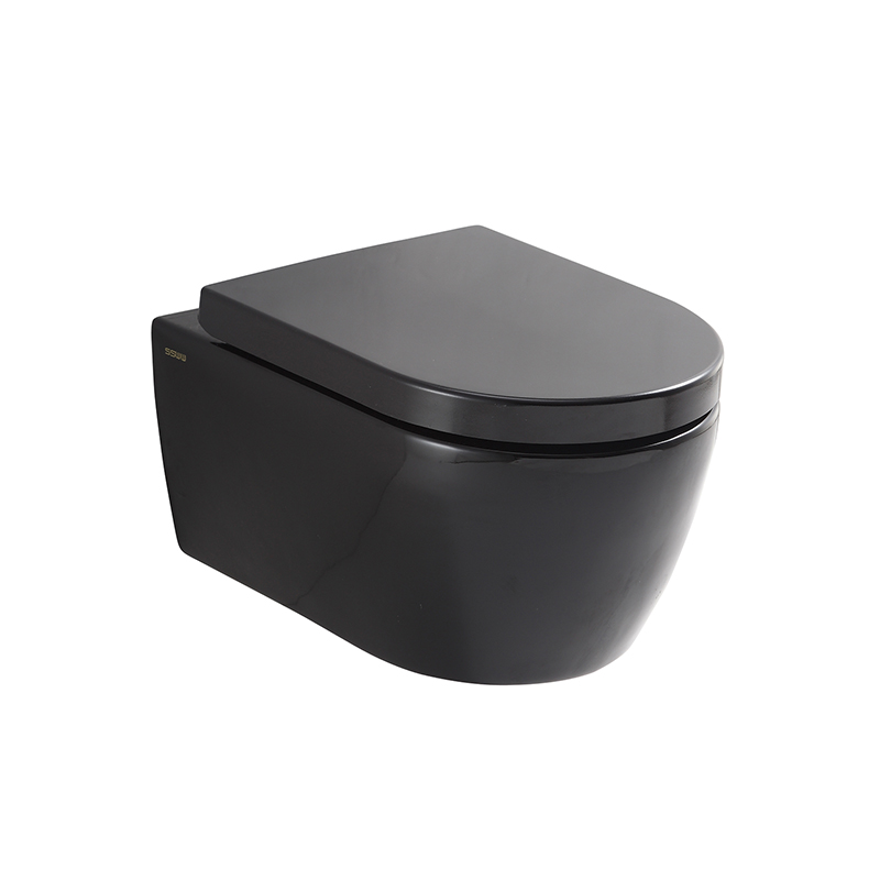 SSWW WALL-HUNG TOILET CT2037V