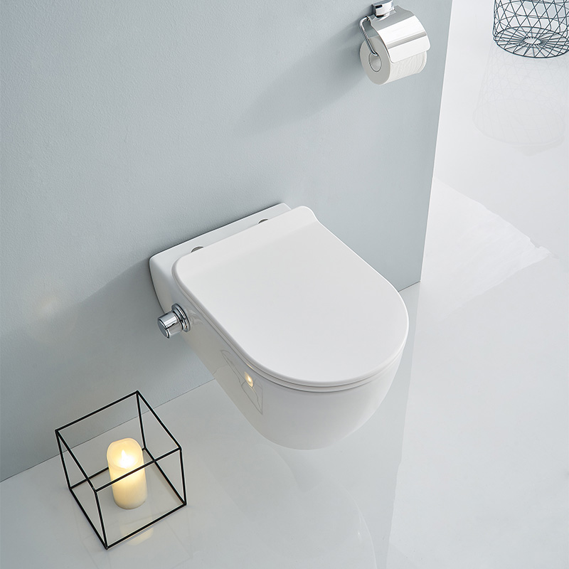 SSWW WALL-HUNG TOILET WITH BIDET FUNTION CT2019V-B