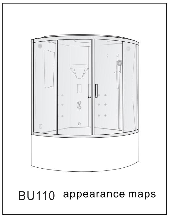 Structural illustration of BU110